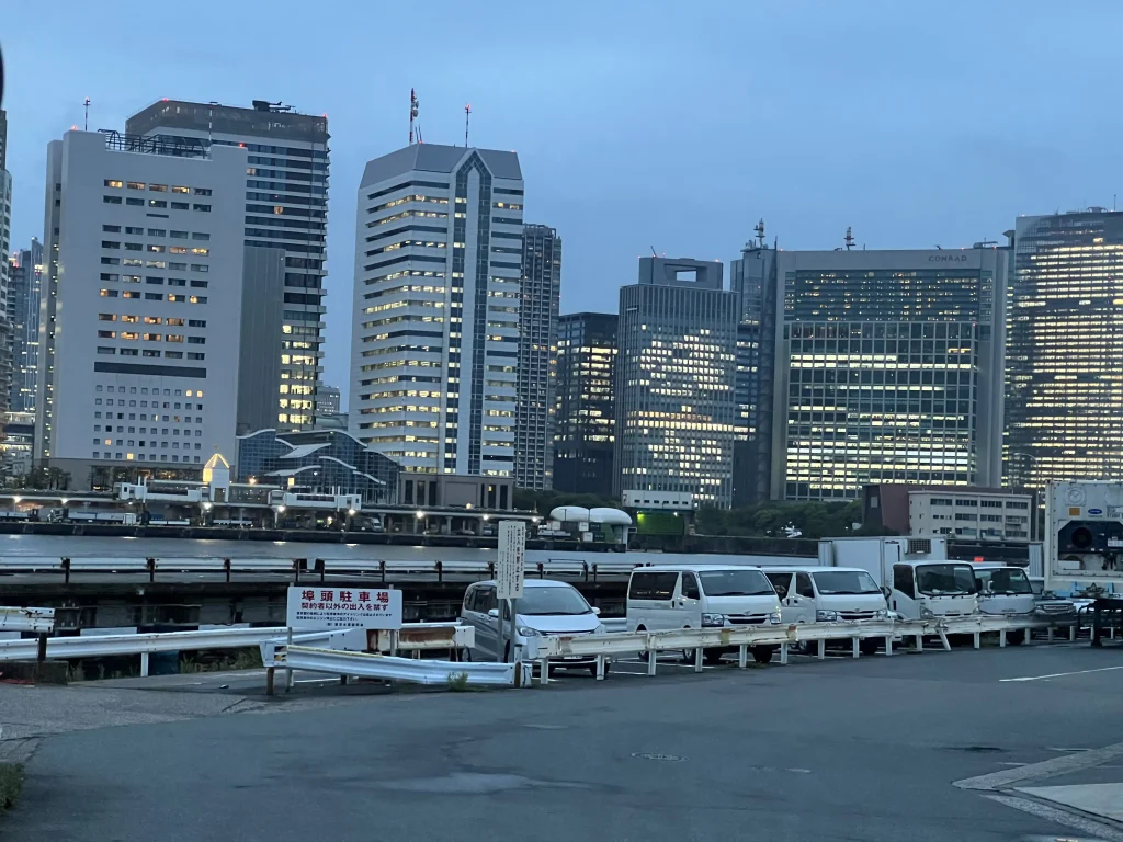 豊海から見えるビル群の景色