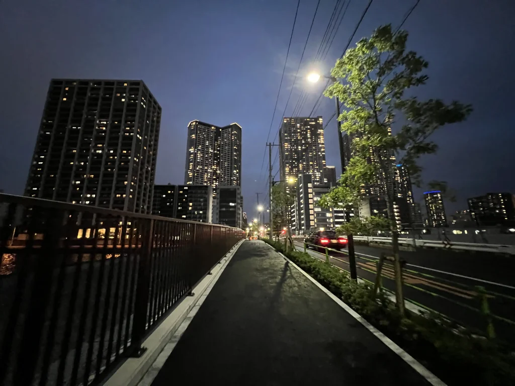豊海から見えるビル群の景色