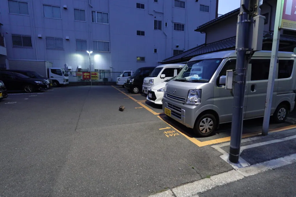 人間エアコンA2提供・能登半島地震復興支援ミッション