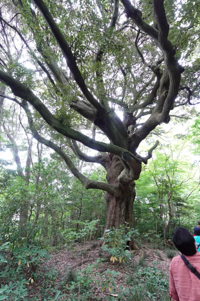 人間エアコンA2提供・能登半島地震復興支援ミッション