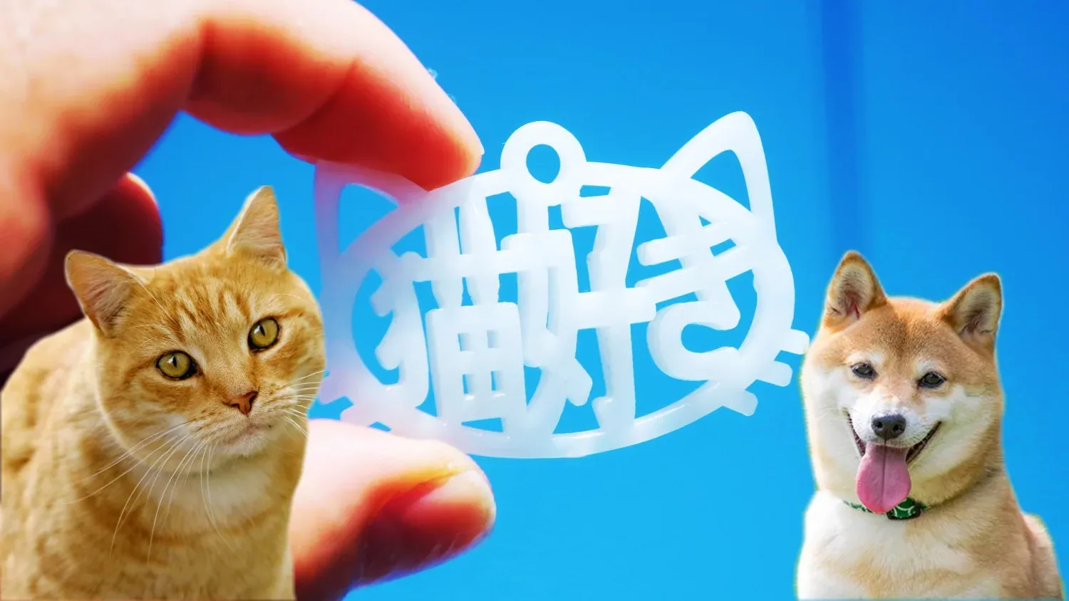 アプリで応募！猫好きーホルダープレゼント